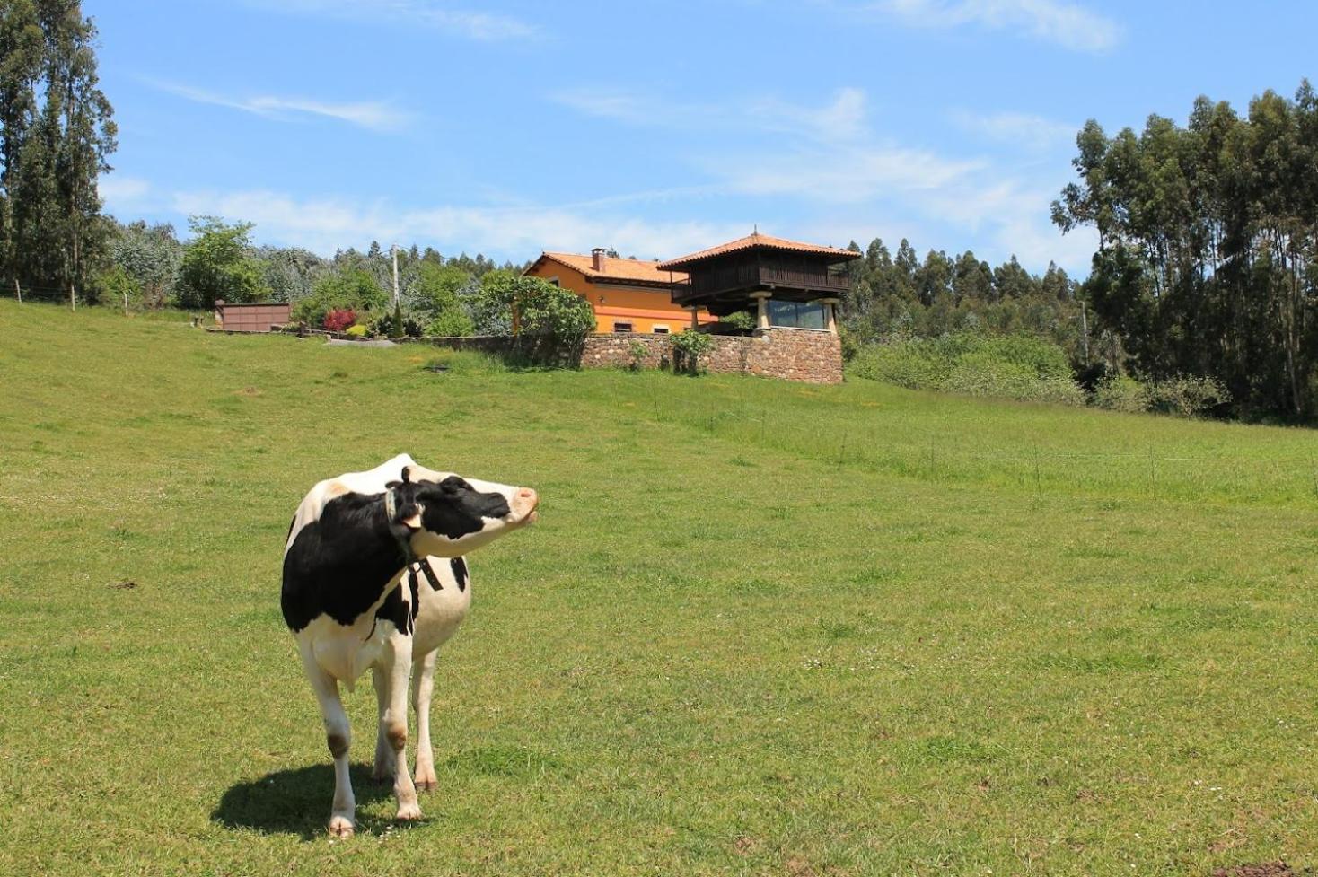 Casa Jesusa Farm stay Gijon